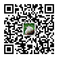 除尘设备_脱硝脱硫设备_污水处理_烟气粉尘治理_唐山铂锐环保科技有限公司